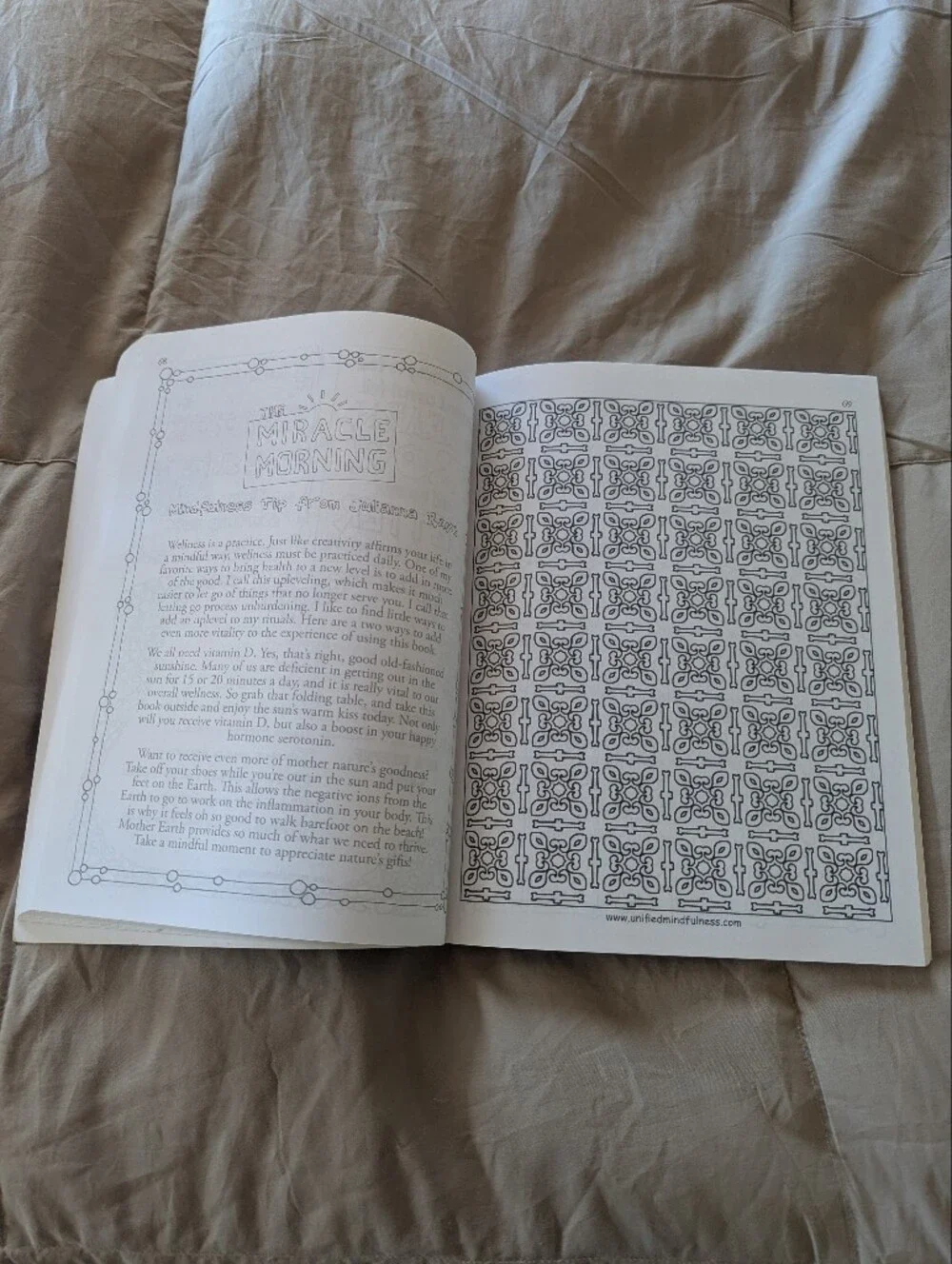 The Miracle Morning Art of Affirmations Purple Sunset Coloring Book by Hal Elrod
